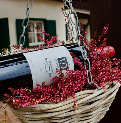 Blauer Zweigelt – Klassik – 2022