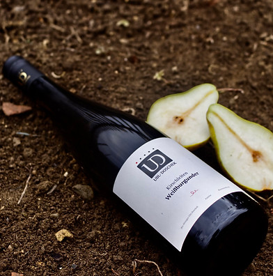 Weißburgunder – Kirschleiten – 2023